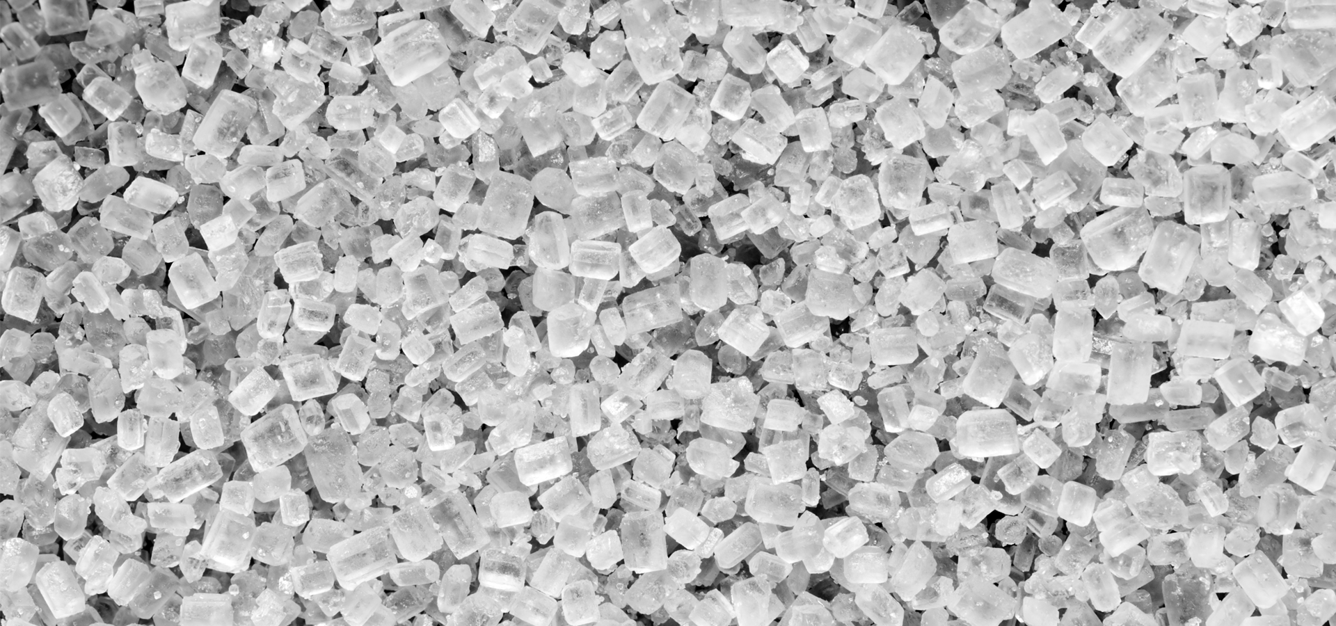 GNC Polymers